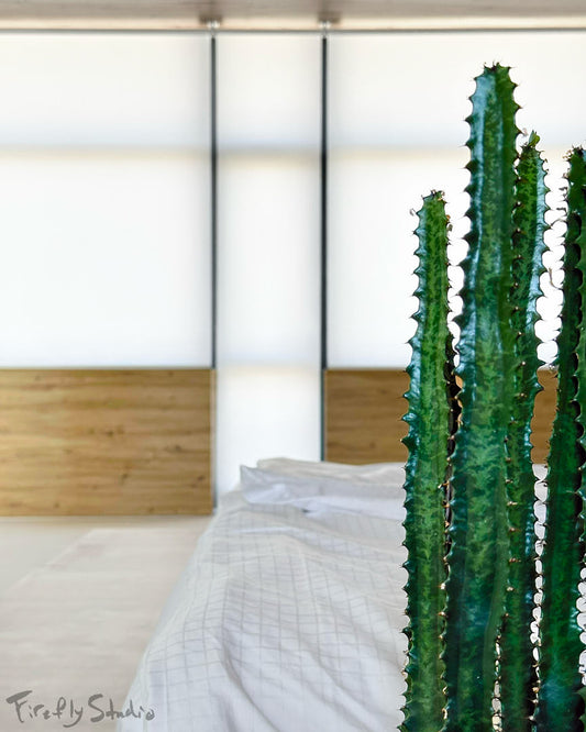 Прозорі тканинні ролети